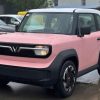 vf3-plus-hong-phan-